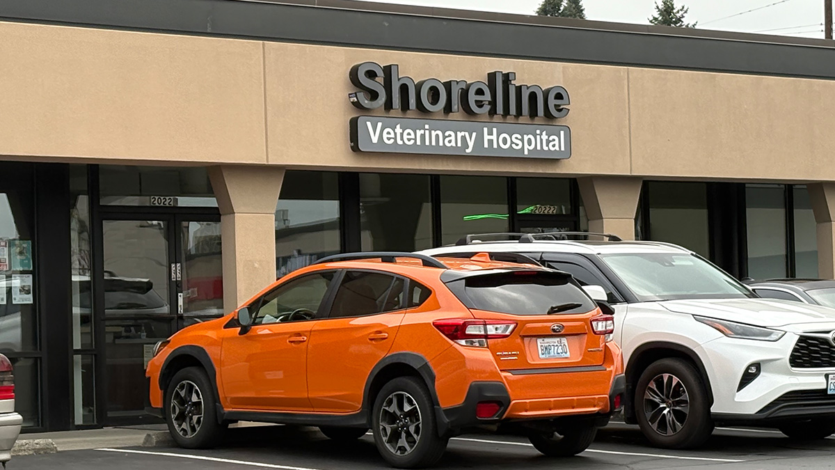 shoreline-exterior corner of modern building